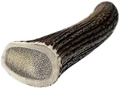 Whole Antler Dog Chew – Durable, Long-Lasting, Odourless, Natural Chew Toy for Strong Chewers – Hard-Wearing, Mineral-Rich, All-Natural, Low-Odour, Safe & Healthy Treat to Support Teeth &Gums