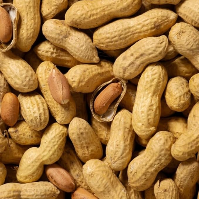 Peanuts in Shell for Wild Birds – Monkey Nuts Whole Unsalted Bird Food – Natural High-Energy Feed for Garden Birds – Sold Per KG in Clear Bags