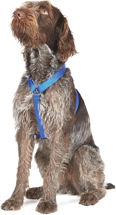 Ancol Nylon Dog Harness Blue Reflective Lightweight Comfortable Adjustable Straps Chest Support Pet Puppy Walking Accessory - 37 - 58 cm - Small