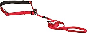 Waist Belt with Lead for Small and Medium-Sized Dogs