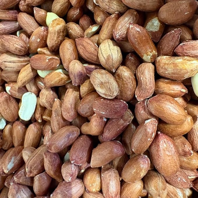 Premium Peanuts for Wild Birds – Whole & Nutritious Nuts for Garden Feeders – High Energy Food for Garden Birds – Multiple Sizes