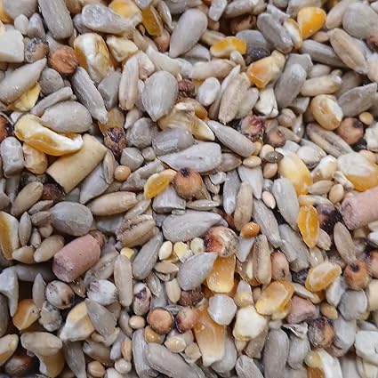 Johnston & Jeff Favourite Mixed Canary Food – Soft, Digestible & High-Protein Seed Blend with Egg Biscuits – All Life Stages Bird Food