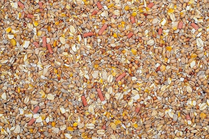 Johnston & Jeff No Mess No Grow Wild Bird Seed Mix – Premium Clean, Waste-Free, Non-Germinating Feed for Garden Birds