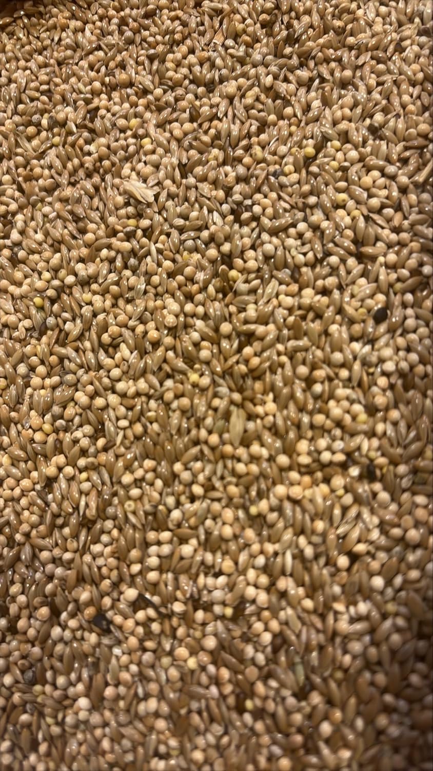 Johnston &Jeff Super 50 Budgerigar Seed Mix