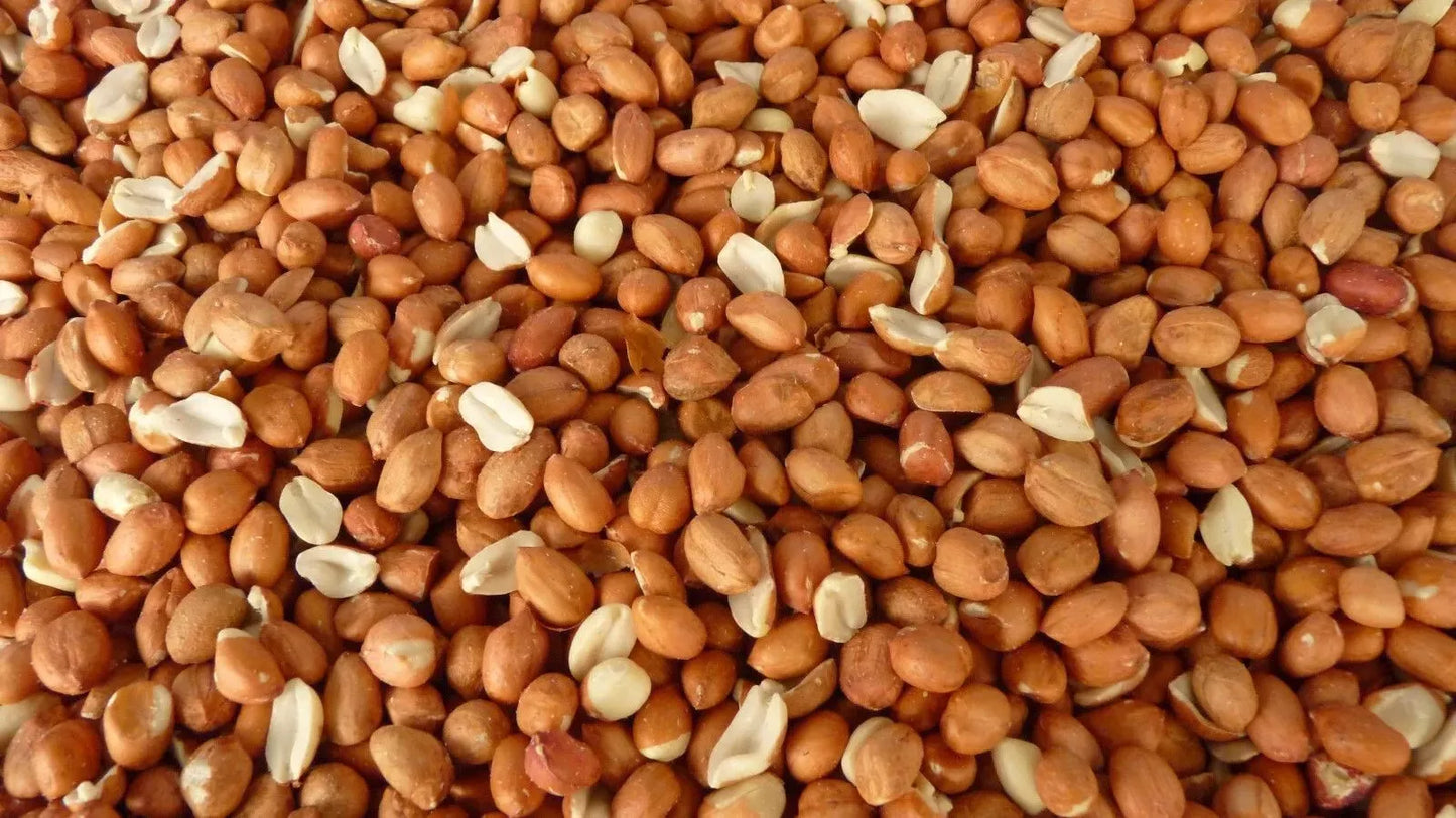 Wild Bird Whole Peanuts - Aflatoxin Tested, Premium Grade 2KG
