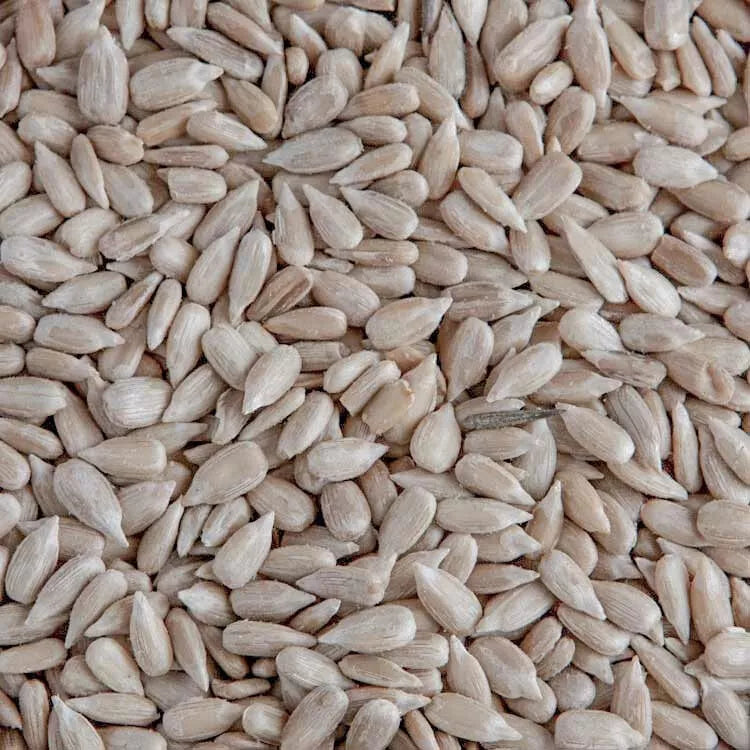 Sunflower hearts 3KG