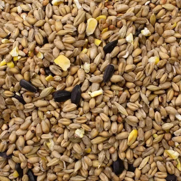 Johnston & Jeff Wild Bird Seed
