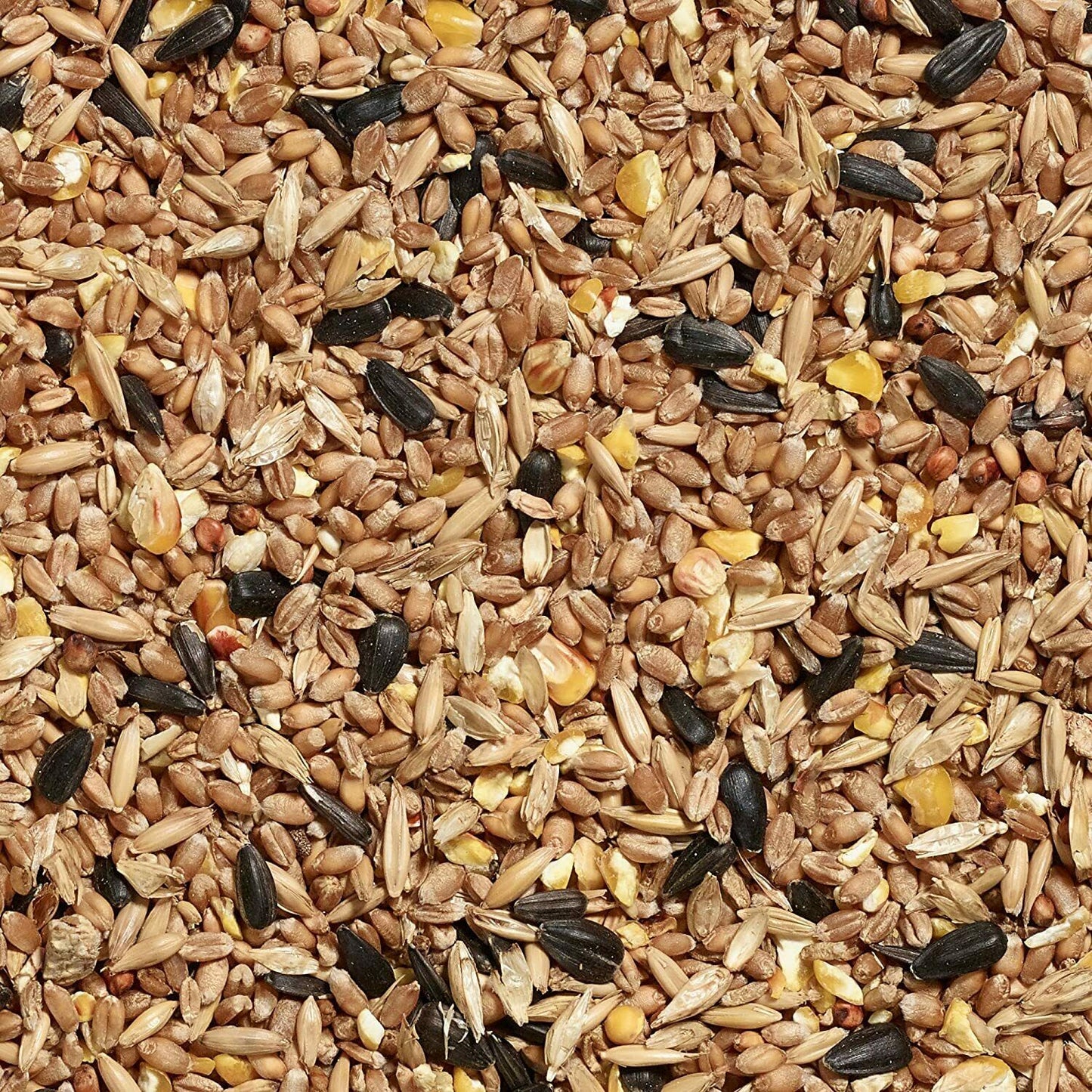 Gardman Seed Mix Quality All Purpose Garden Wild Bird Food 20kg