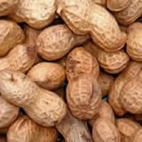 Monkey Nuts In Shells Large Bag - Johnston & Jeff 12.5Kg