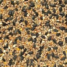 Johnston & Jeff Select Wild Bird Food | Premium High Energy Seed Mix with Black Oil Sunflower Seeds | All-Season Garden Bird Feed for Feeders & Tables