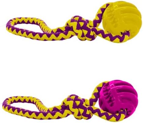 Dog & Puppy Life Chase and Fetch Treat Toys – Durable TPR Dog Ball & Dummy Chew Toys – Interactive Treat Dispensing Toys for Puppies & Dogs – Tough Training, Active Play & Outdoor Exercise Toys