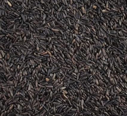 Johnston & Jeff Premium Niger Seed  – High-Oil Wild Bird Food Blend for Finches, Goldfinches & Siskins – All-Season Garden Seed – Nutrient-Rich Bird Feed