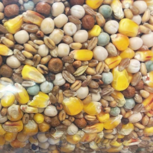 Johnson & Jeff Four Seasons Pigeon Corn - Premium Wild Bird Food Mix | High-Protein, Nutrient-Rich, Year-Round Pigeon Feed | Perfect for Pigeons & Wild Birds | Full of Vitamins, Oils & Minerals