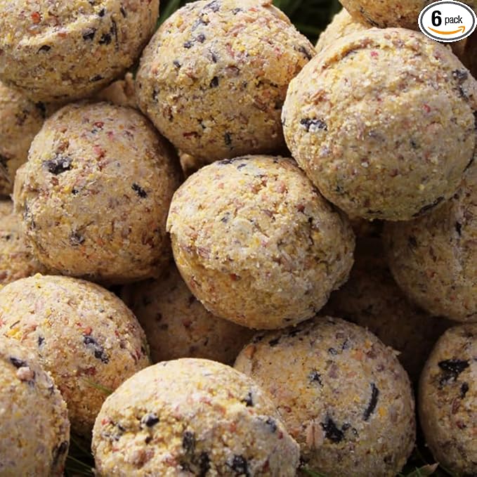 Premium Fat Balls for Wild Birds – High Energy & Protein Feed | Garden Bird Food | All-Season Fat Balls for Robins, Finches, Blackbirds | Fresh & Nutritious