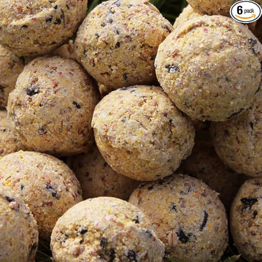 Premium Fat Balls for Wild Birds – High Energy & Protein Feed | Garden Bird Food | All-Season Fat Balls for Robins, Finches, Blackbirds | Fresh & Nutritious
