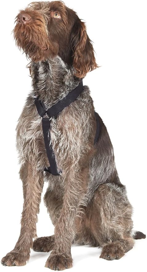 Ancol Nylon Dog Harness Black Reflective Lightweight Comfortable Adjustable Straps Chest Support Pet Puppy Walking Accessory - 37-58 cm - Small