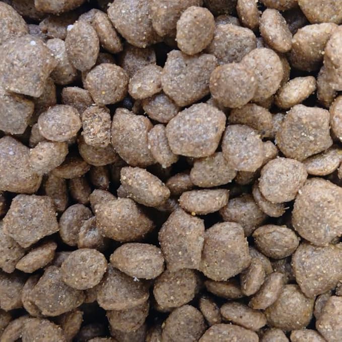Beta Puppy Dry Dog Food – Complete Chicken Recipe for Puppies with Natural Prebiotics, Tailored Nutrition, High Protein for Growth & Immune Support