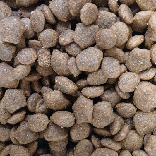 Beta Puppy Dry Dog Food – Complete Chicken Recipe for Puppies with Natural Prebiotics, Tailored Nutrition, High Protein for Growth & Immune Support