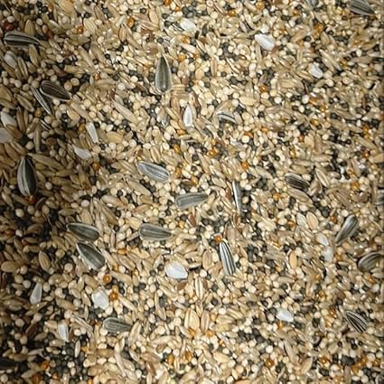 Johnston & Jeff Aviary Mix Bird Food Blend of 11 ingredients