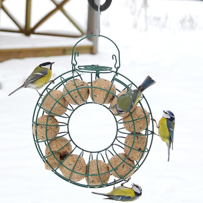 Premium Fat Balls for Wild Birds – High Energy & Protein Feed | Garden Bird Food | All-Season Fat Balls for Robins, Finches, Blackbirds | Fresh & Nutritious