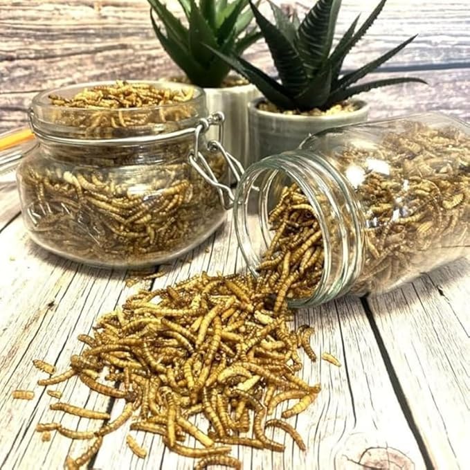 Premium Dried Mealworms for Wild Birds – 100% Natural, Protein-Rich Treat – High-Energy Feed with Edible Oils – Ideal for Blue Tits, Robins & More