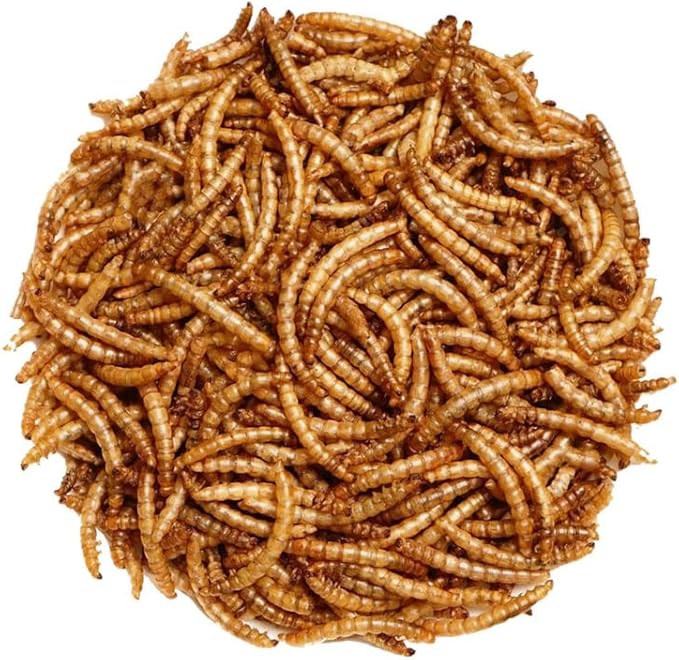 Premium Dried Mealworms for Wild Birds – 100% Natural, Protein-Rich Treat – High-Energy Feed with Edible Oils – Ideal for Blue Tits, Robins & More