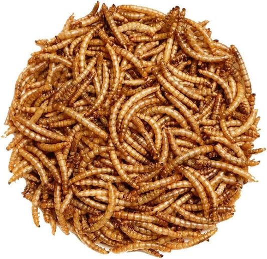 Premium Dried Mealworms for Wild Birds – 100% Natural, Protein-Rich Treat – High-Energy Feed with Edible Oils – Ideal for Blue Tits, Robins & More