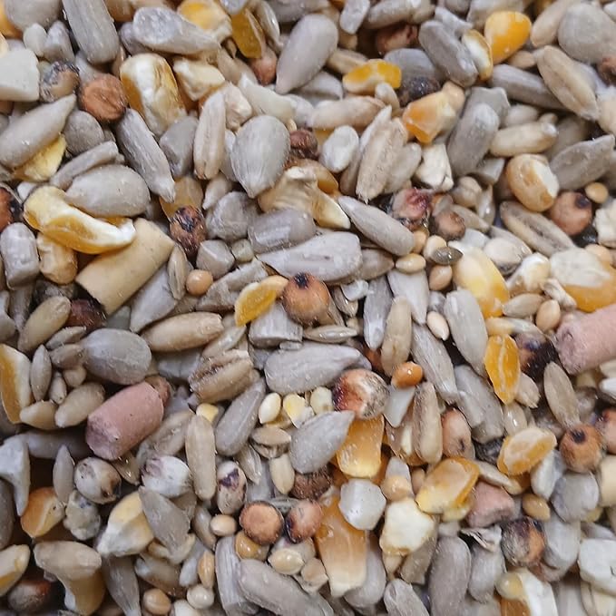 Johnston & Jeff Premium Wild Bird Seed Wheat Free with Suet High Energy Mix for Garden Birds with Sunflower Hearts Peanuts Insects Berry Pellets for All Seasons Feeding