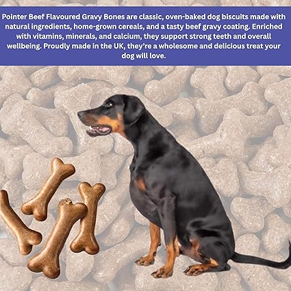 Pointer Gravy Bones Dog Treats, Beef