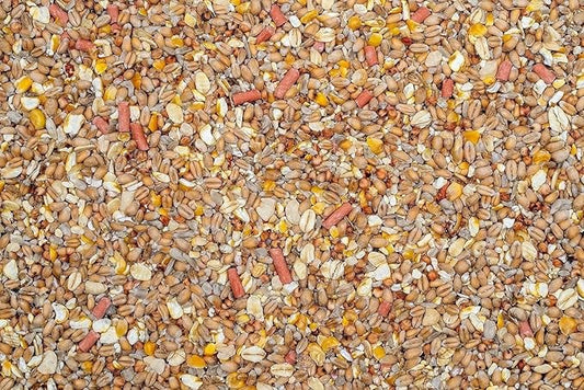Johnston & Jeff No Mess No Grow Wild Bird Seed Mix – Premium Clean, Waste-Free, Non-Germinating Feed for Garden Birds
