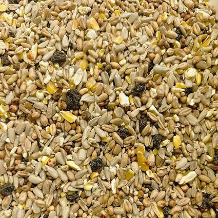 Johnston & Jeff Superior Wild Bird Food With Fruit