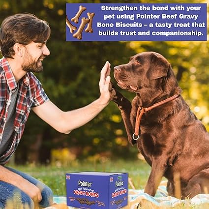 Pointer Gravy Bones Dog Treats, Beef