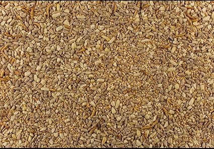 Johnston & Jeff Robin & Songbird Wild Bird Food with Mealworm – Premium High Energy Seed Mix for Robins & Small Garden Birds | Sunflower Hearts, Peanut Granules, Mealworms