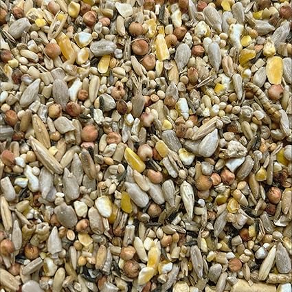 Johnston & Jeff Essential Blend for Spring and Summer Bird Seed