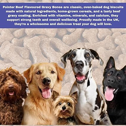 Pointer Gravy Bones Dog Treats, Beef