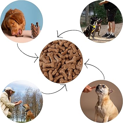 Pointer Gravy Bones Dog Treats, Beef