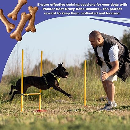 Pointer Gravy Bones Dog Treats, Beef