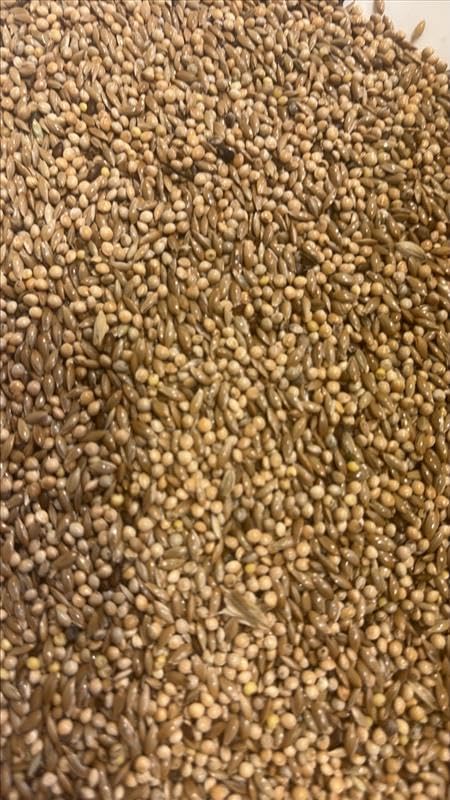 Johnston &Jeff Super 50 Budgerigar Seed Mix