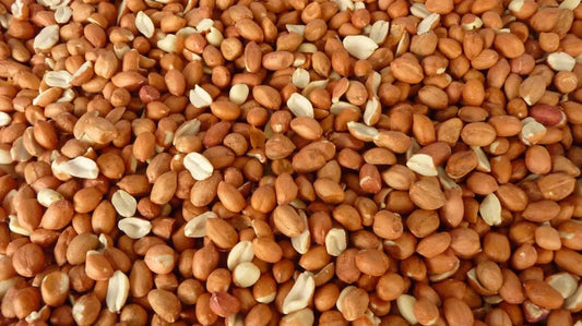 Wild Bird whole Peanuts Aflatoxin Tested, Premium Grade