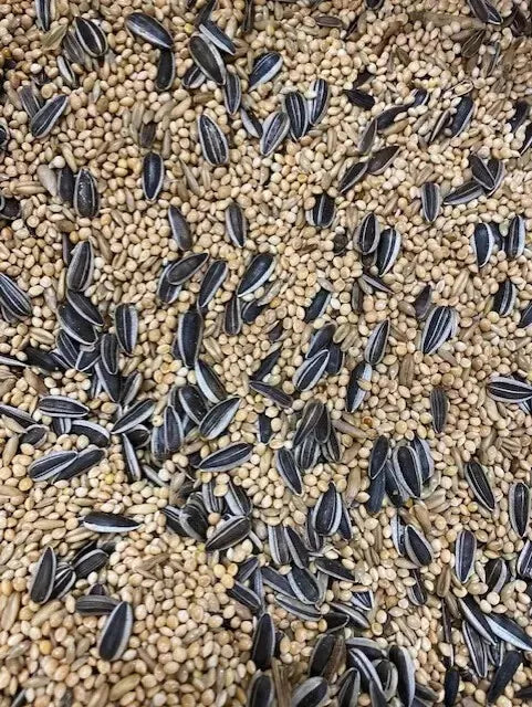 Cockatiel Food mix Seed
