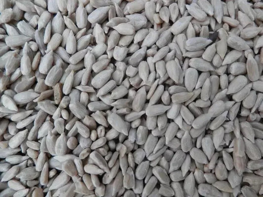 Sunflower Hearts for Wild Birds