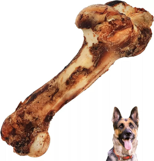 Jumbo size roasted beef shin leg bone