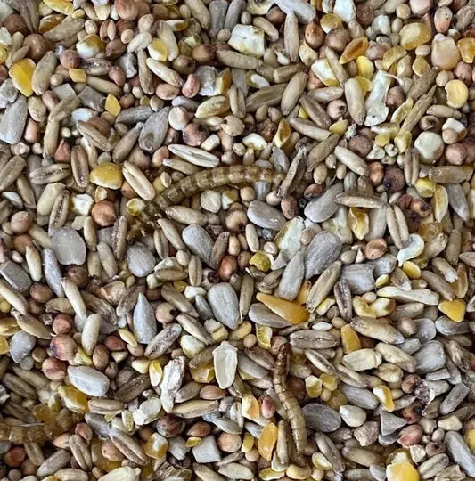 Robin & Songbird Bird seed