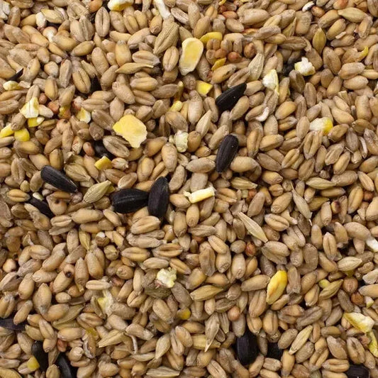 Johnston & Jeff Wild Bird Seed