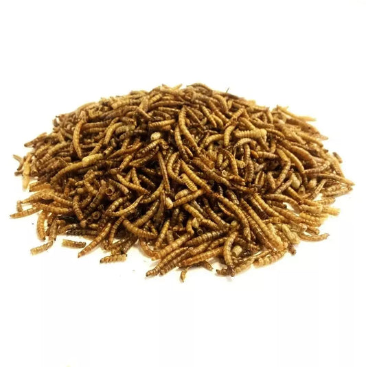 PREMIUM DRIED MEALWORMS FOR WILD BIRDS