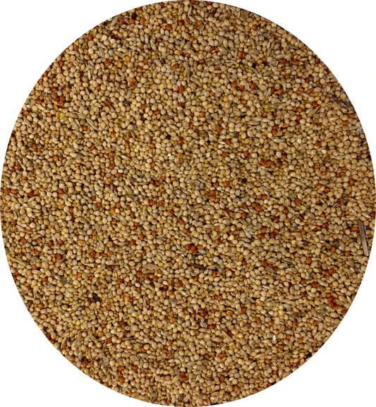 Johnston & Jeff Foreign Finch Seed