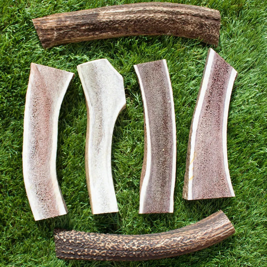 Deer Antler Halfs Splits Healthy Dog Chews - in Small, Med, Large