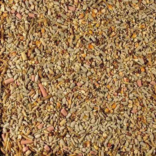Johnston & Jeff Essential Blend for Spring & summer Bird Seed