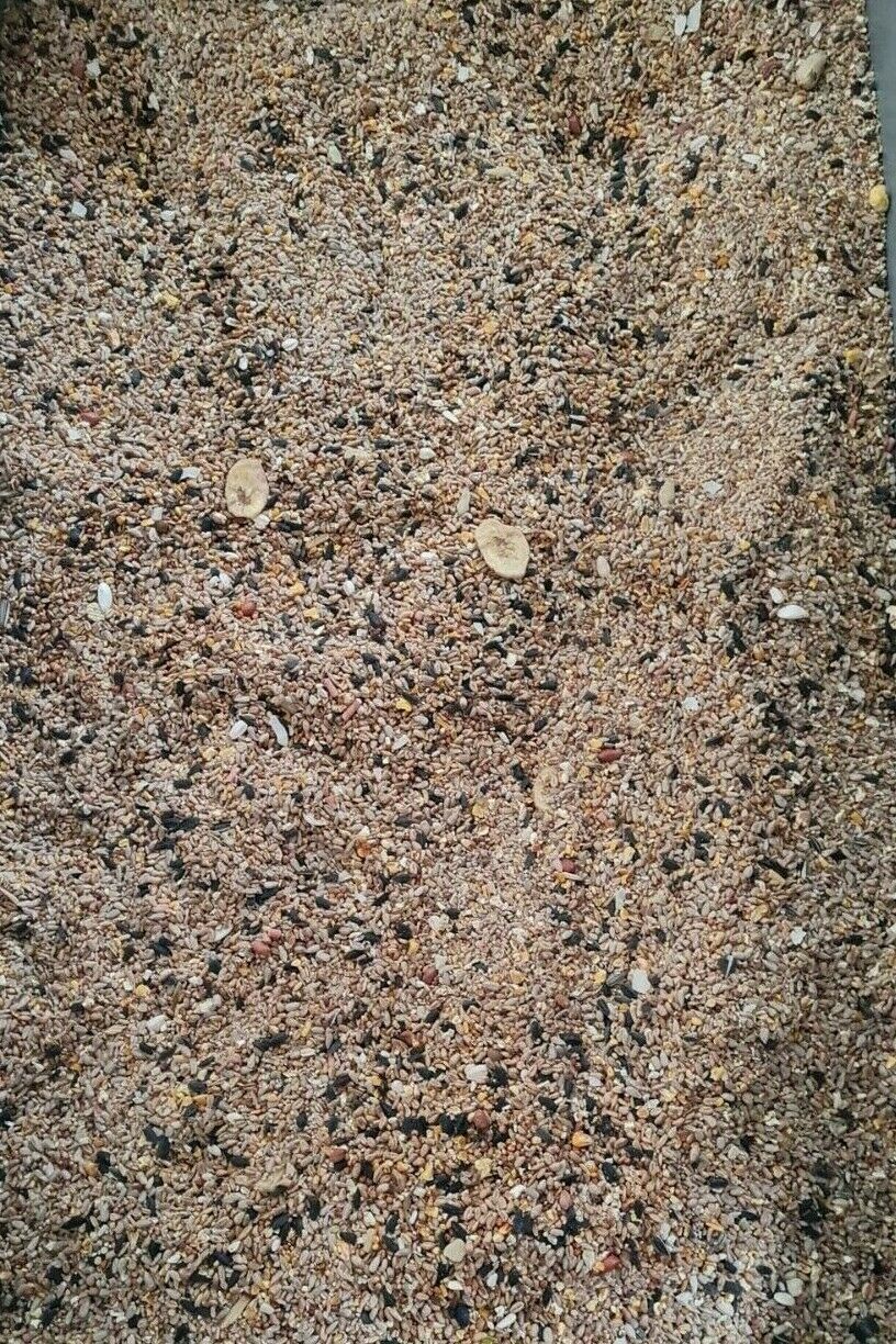 Superpet Special Bird Mix