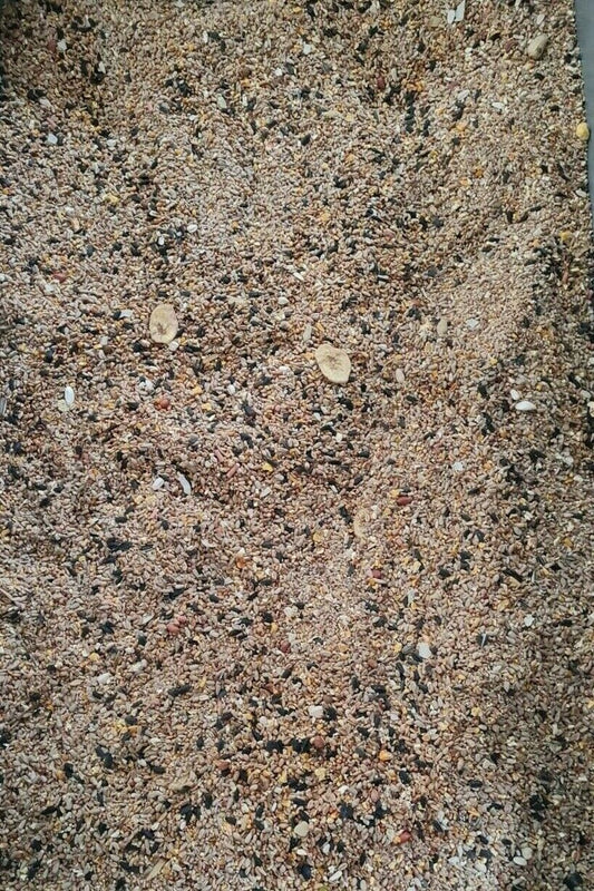 Superpet Special Bird Mix